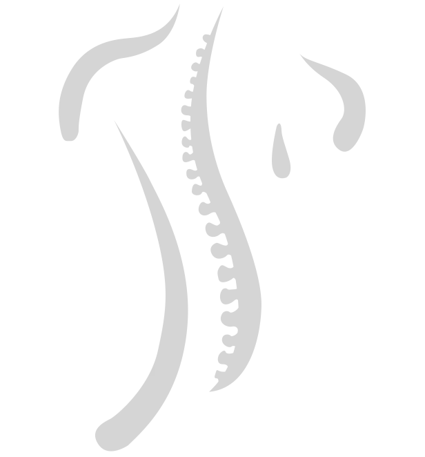 Fish Spine Gray